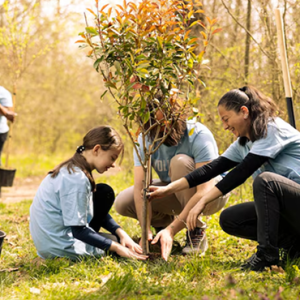 Volunteer Engagement Masterclass